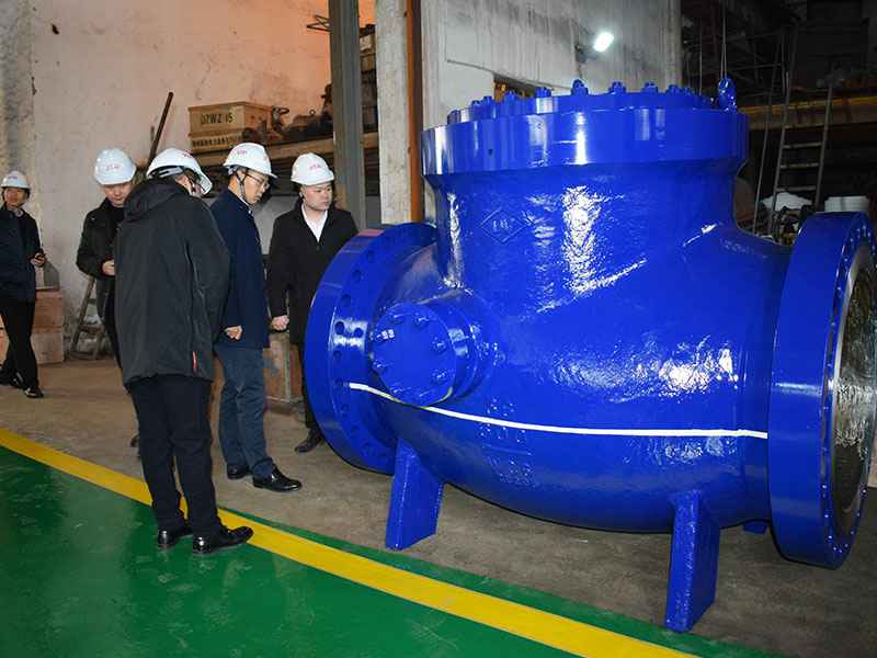 苗市长走访乐鱼网页版登录入口-乐鱼(中国)集团